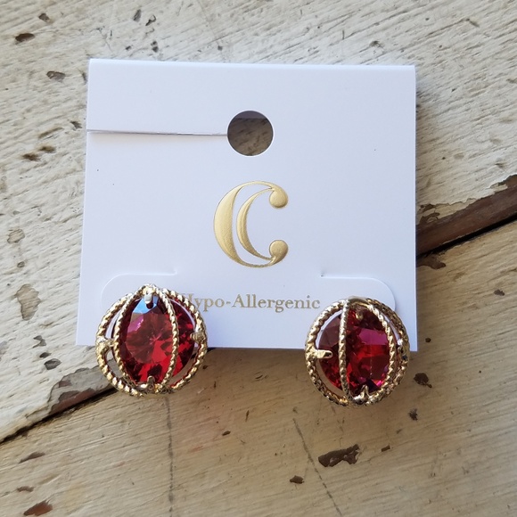 Charming Charlie Carlyle Cage Stud Earrings - Picture 1 of 6
